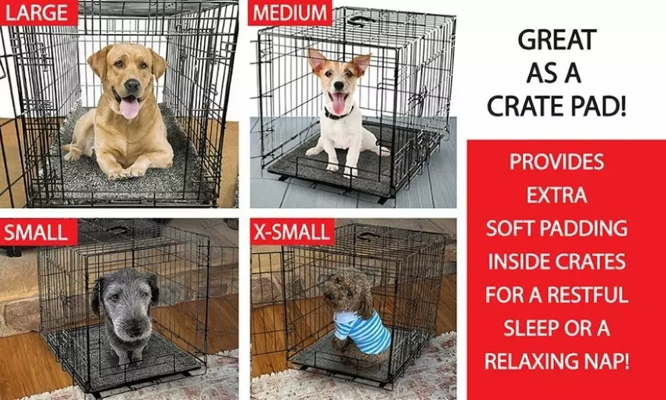 Scoochie Poochie Dog Bed & Crate Pad