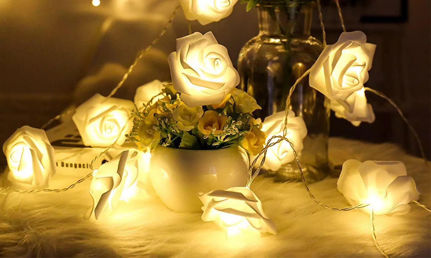  iMounTEK 40-LED Rose String Lights Romantic Valentines Day Decor (2-Pack)