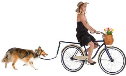 Hands-Free Bicycle Dog Leash for Safe Tug-Free Bike Riding with Pets