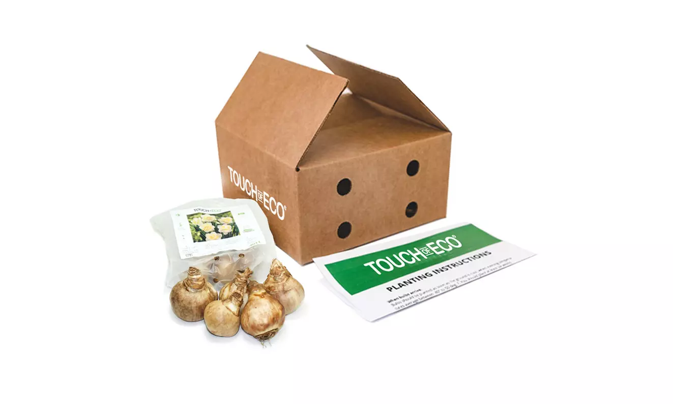 First Spring Blooming Deer Resistant Flower Bulbs - 3 Varietes