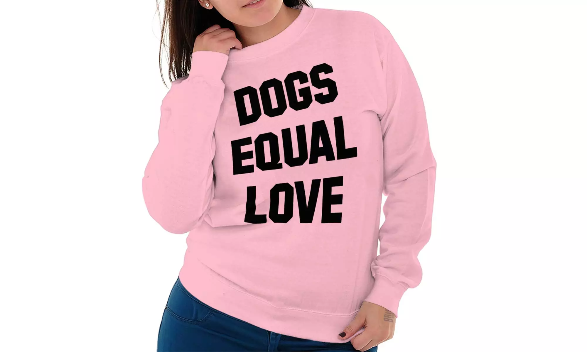 Dogs Equal Love Funny Dog Lady Pet Owner Sweatshirt - Primary Image