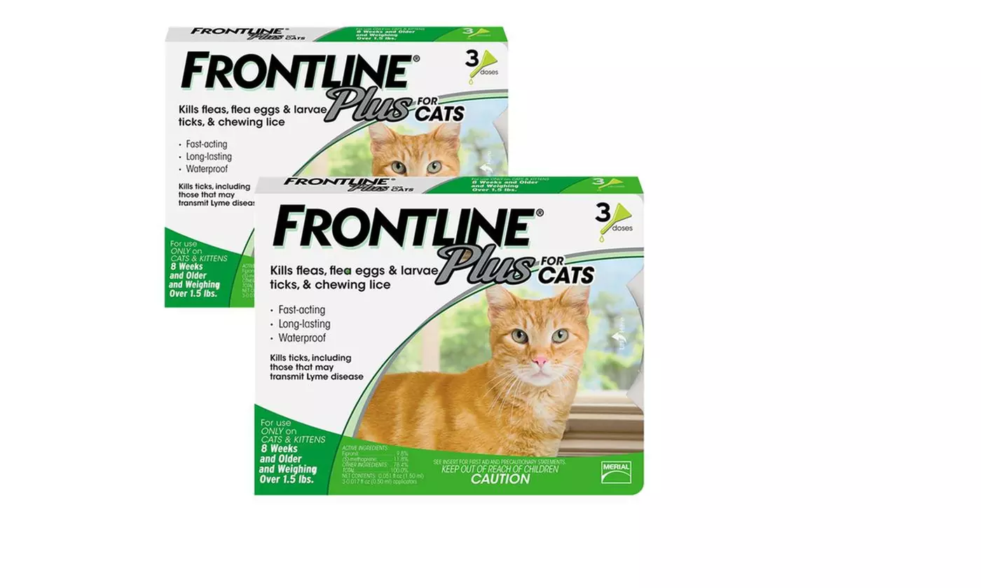 Frontline Plus for Cats and Kittens(1.5 pounds and over) Flea and Tick Treatment - Primary Image