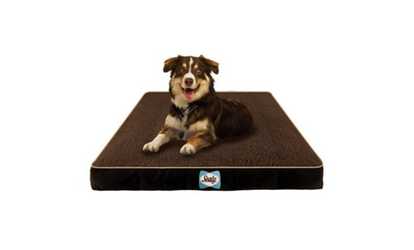 Sealy Orthopedic & Memory Foam Cooling Dog Bed