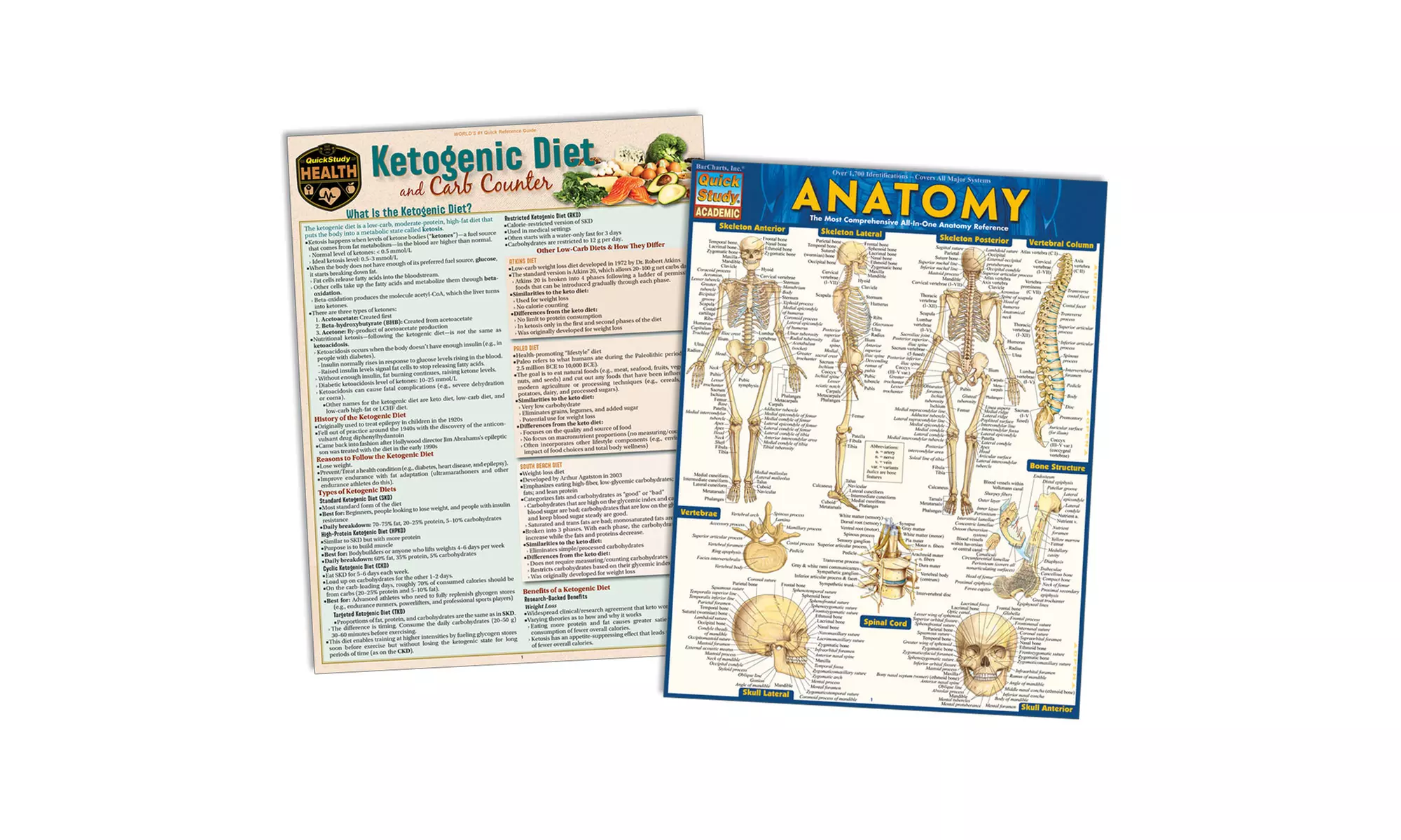 Ketogenic Diet & Carb Counting - Primary Image