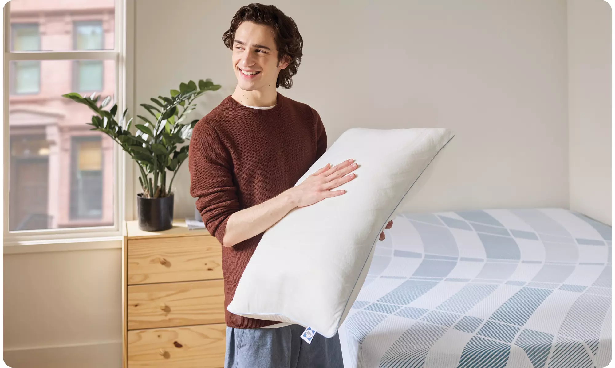 Sealy Dreamlife Memory & Shredded Foam Pillows (Single/Dual)