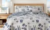 Coastal Shell Themed Quilt Set Bedspread (2- or 3-Piece)