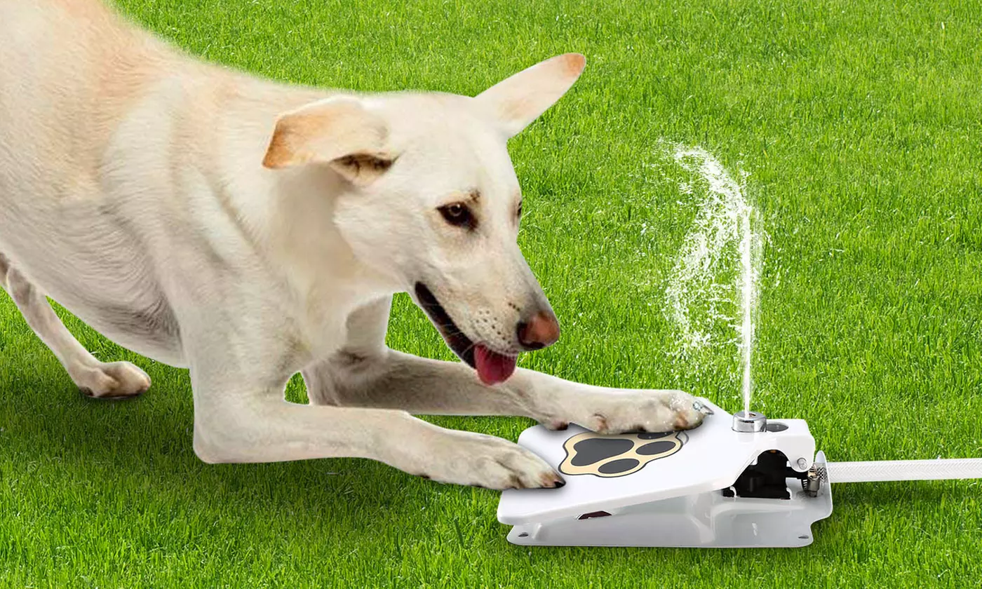 iMounTEK Outdoor Step-On Dog Water Fountain Pet Water Dispenser