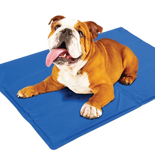 chilly gel pet mat