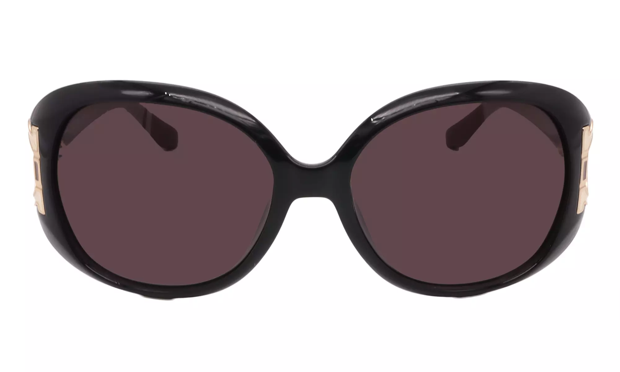 Salvatore Ferragamo Sunglass Collection