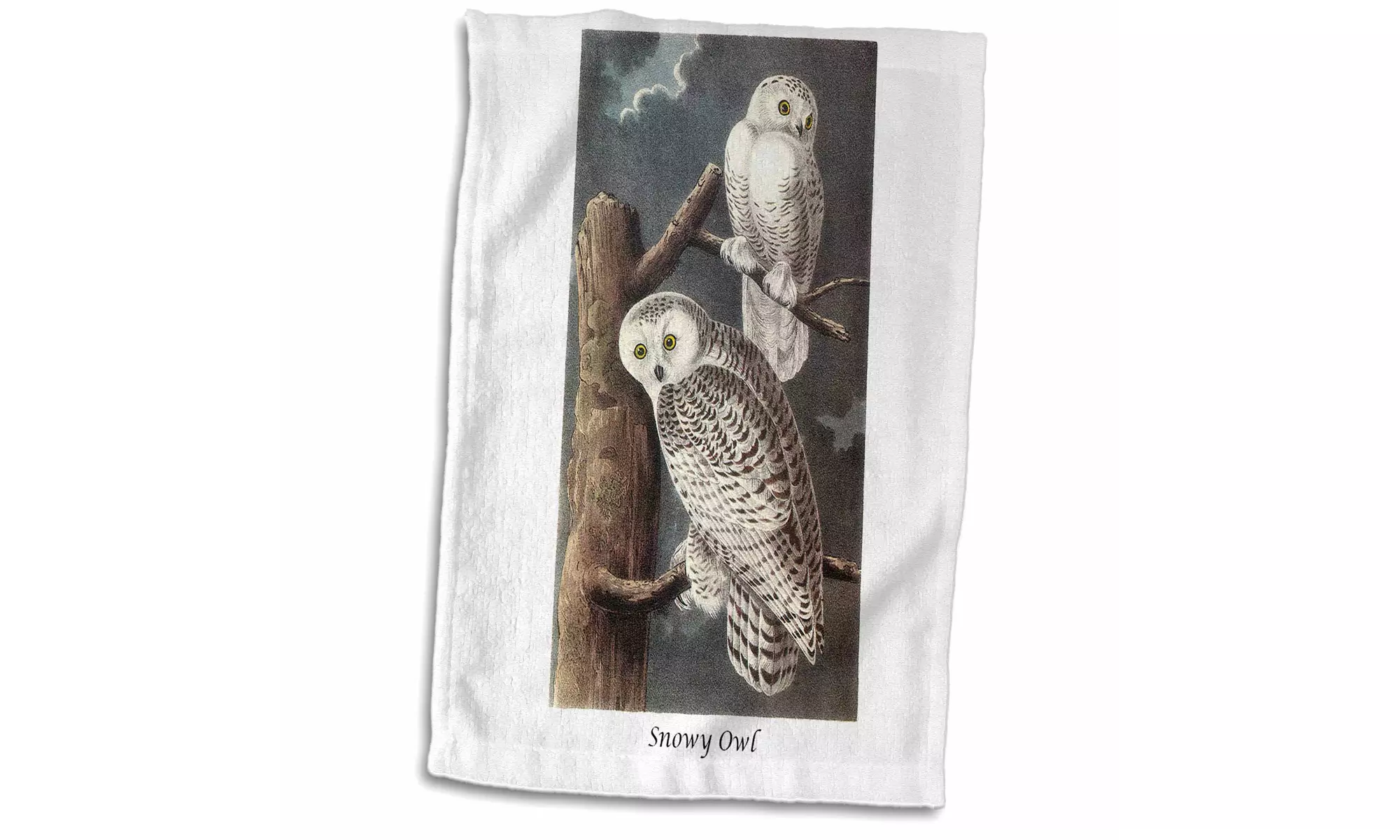  Towel - Snowy Owl by John James Audubon - 15 by 22-inches  - Primary Image