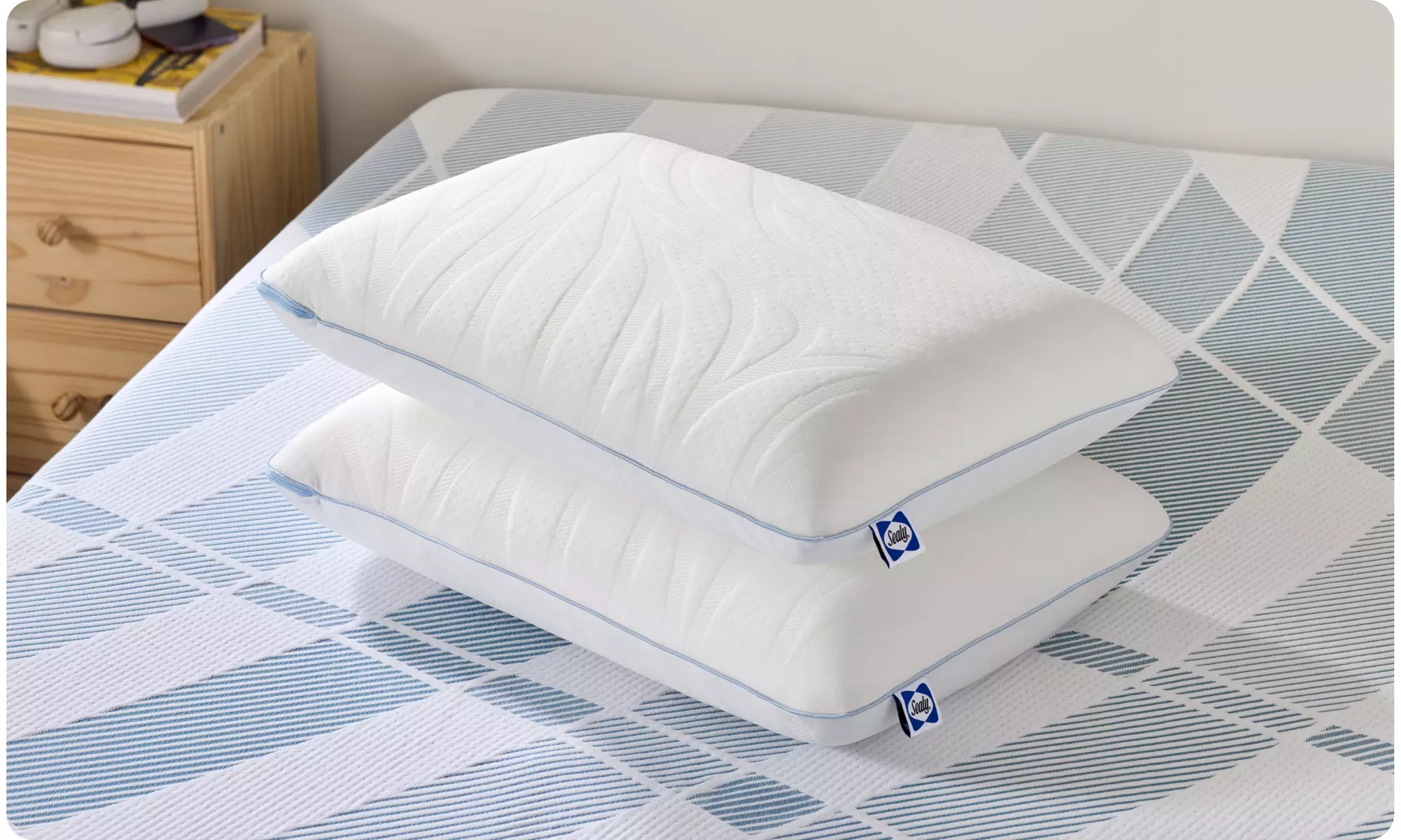 Sealy Dreamlife Memory & Shredded Foam Pillows (Single/Dual)