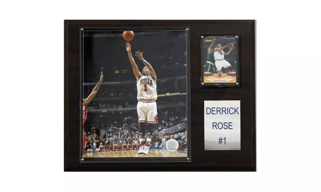 C & I Collectables 1215DROSE NBA Derrick Rose Chicago Bulls Player Plaque - Primary Image