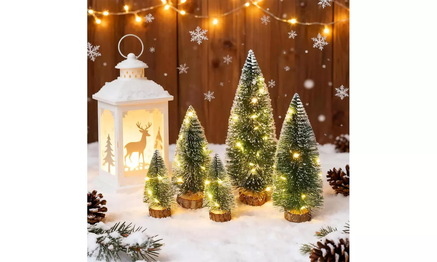 Mini Christmas Tree with Lights, Table Top Decorations, Desktop Pine Tree Xmas