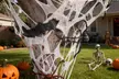 ItBelongs2U White Halloween Spiderwebs Decor with Optional Spider - Second Medium