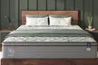 NapQueen Machka 10/12 Inch Euro Top Hybrid Mattress - Second Medium