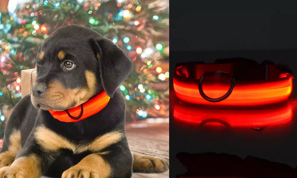 LED Dog Pet Funny Christmas Light Up Night Glow Adjustable Safety Collar - Primary Image