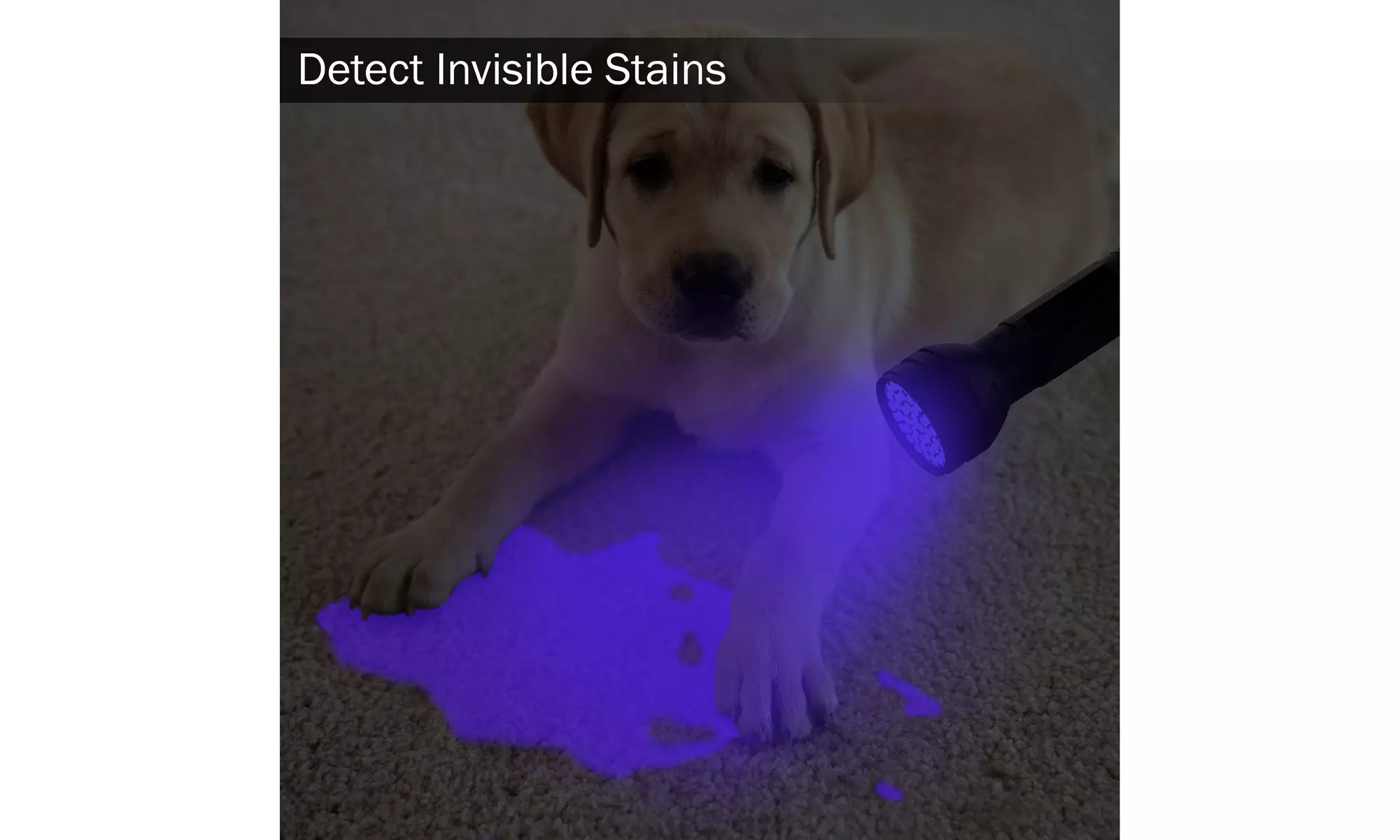 Black Light UV Flashlight by Fleming Supply - Second Medium