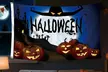 ItBelongs2U Halloween Flag with Grommets - Second Medium