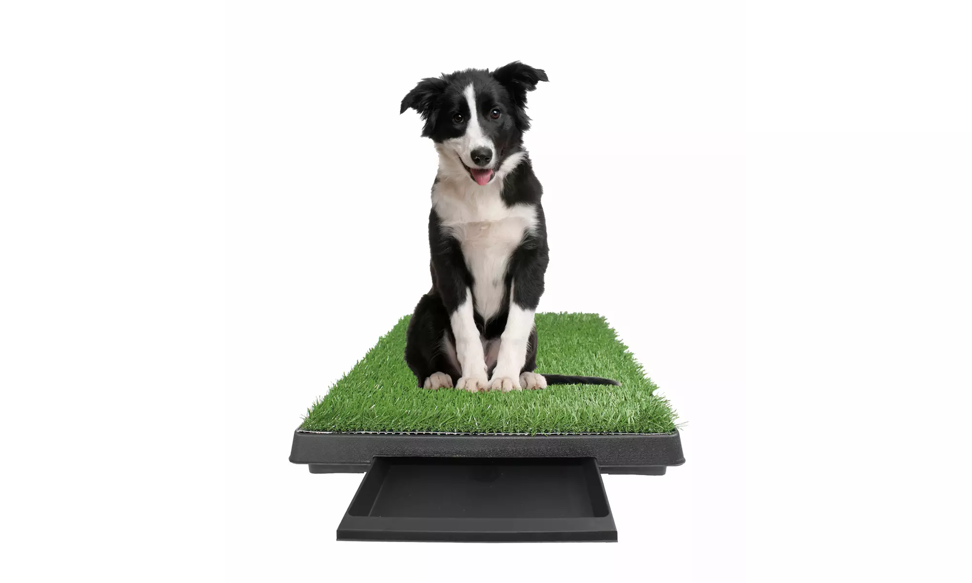 Large Potty Pad Indoor Dog Bathroom with tray 25 X 20 X 2 - Primary Image