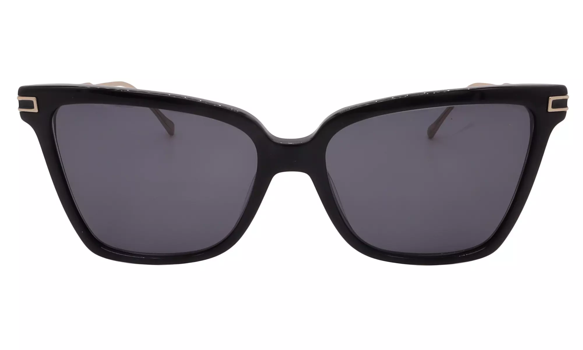 Salvatore Ferragamo Sunglass Collection