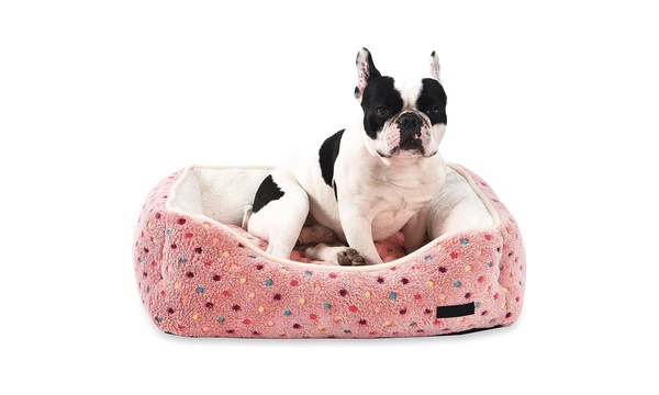 Groupon 2024 pet bed