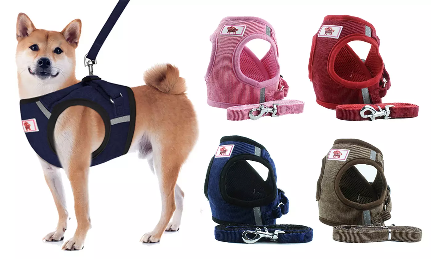 Windproof Reflective Dog Harness with Leash Set for Pet Walking - Primary Image