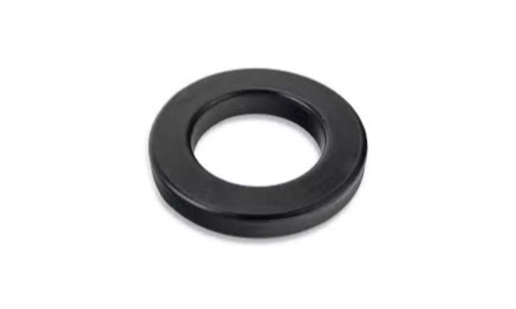 Pentair 271106 Sight Glass Gasket - Primary Image
