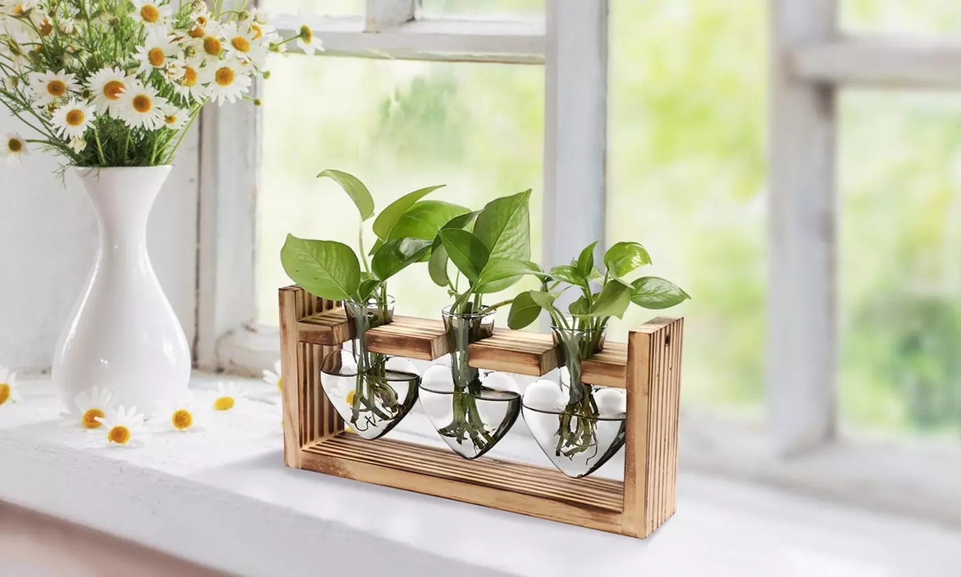 iMounTEK Glass Bulb Terrarium Propagation Station with 3 Vases and Wood Stand