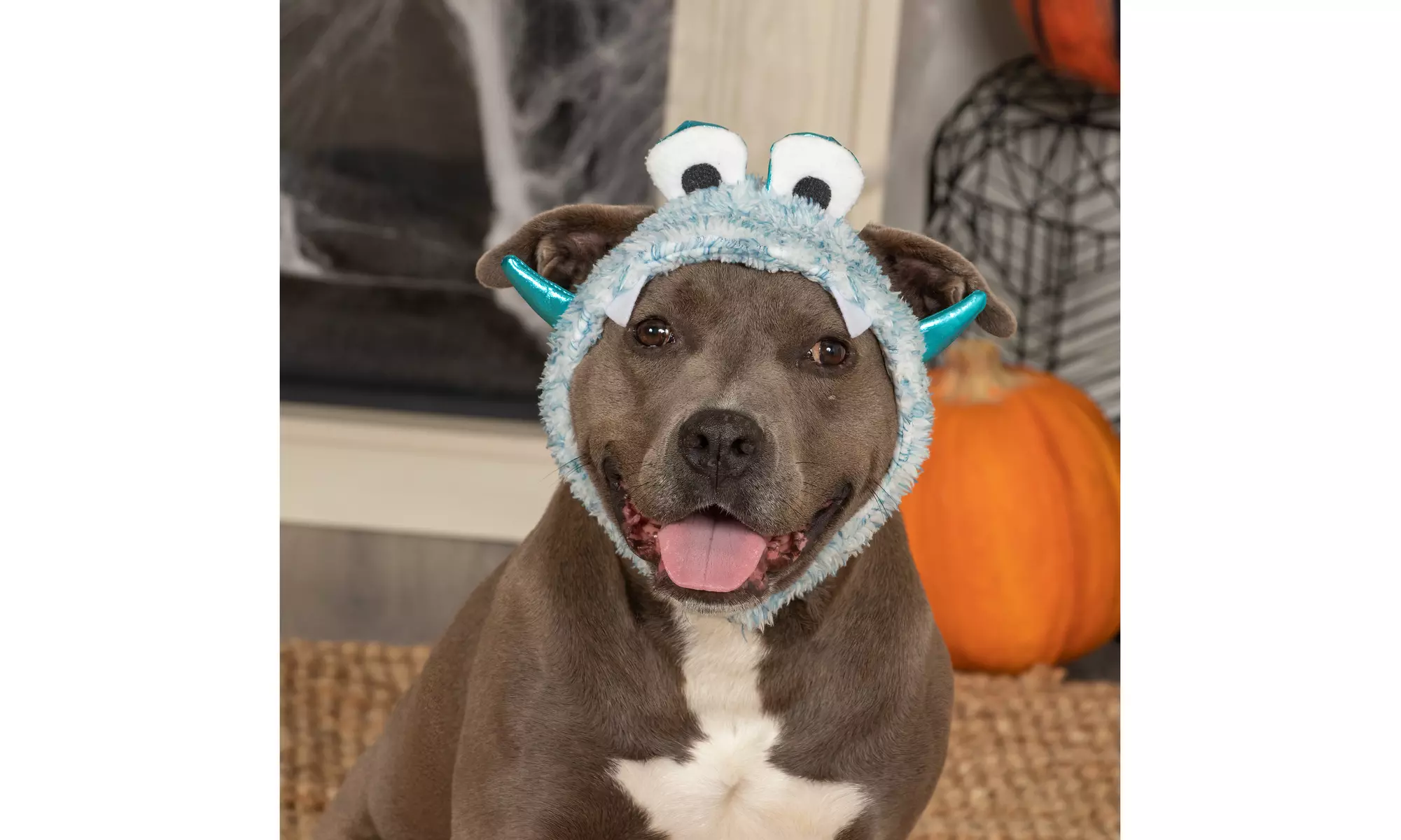 FurHaven Halloween Costume Flex-Fit Pet Costume Hat (Bat, Monster, Polar Bear)