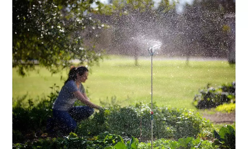Heavy Duty Elevated Sprinkler - Second Medium