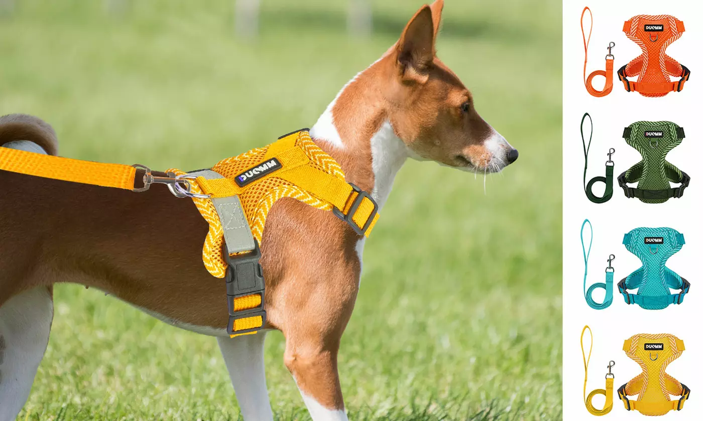 Soft Mesh Dog Harness Leash Set No-Chock Step-in Reflective Vest Harnesses