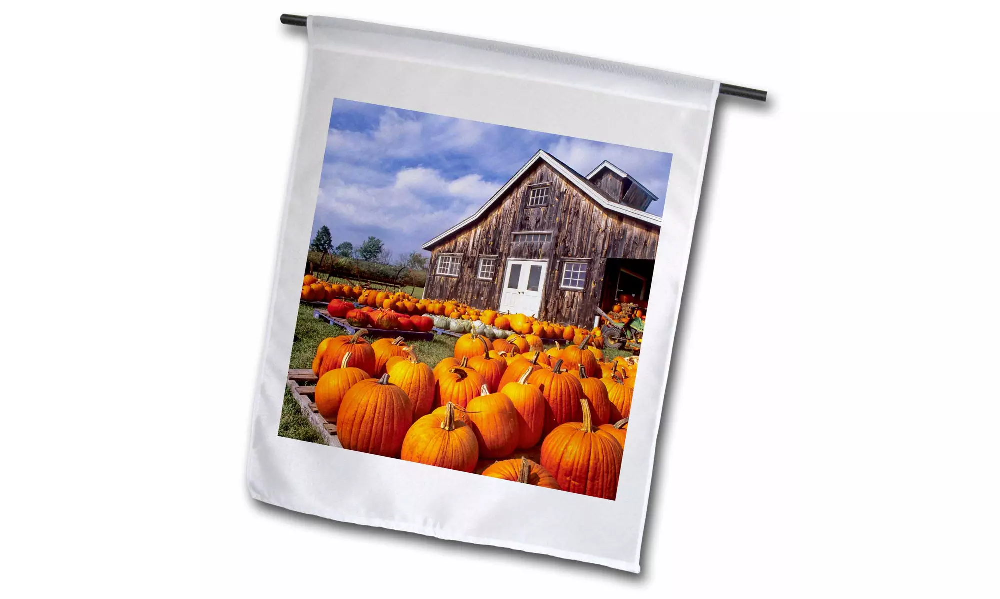  Garden Flag USA, Vermont, Shelbourne, Pumpkins, farm - US46 RDU0002 - Richard  - Primary Image