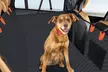 iMounTEK Dog Car Seat Covers Hammock Style Waterproof Back Seat Protector - Second Medium