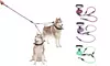 iMounTEK Reflective Double Dog Leash with Tangle-Free Coupler & Padded Handle
