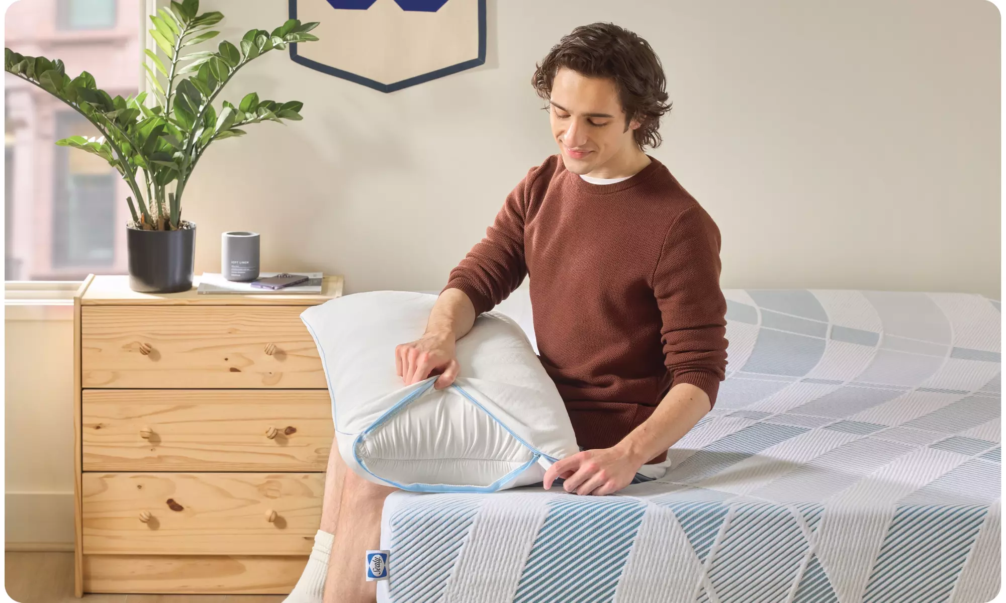 Sealy Dreamlife Memory & Shredded Foam Pillows (Single/Dual)