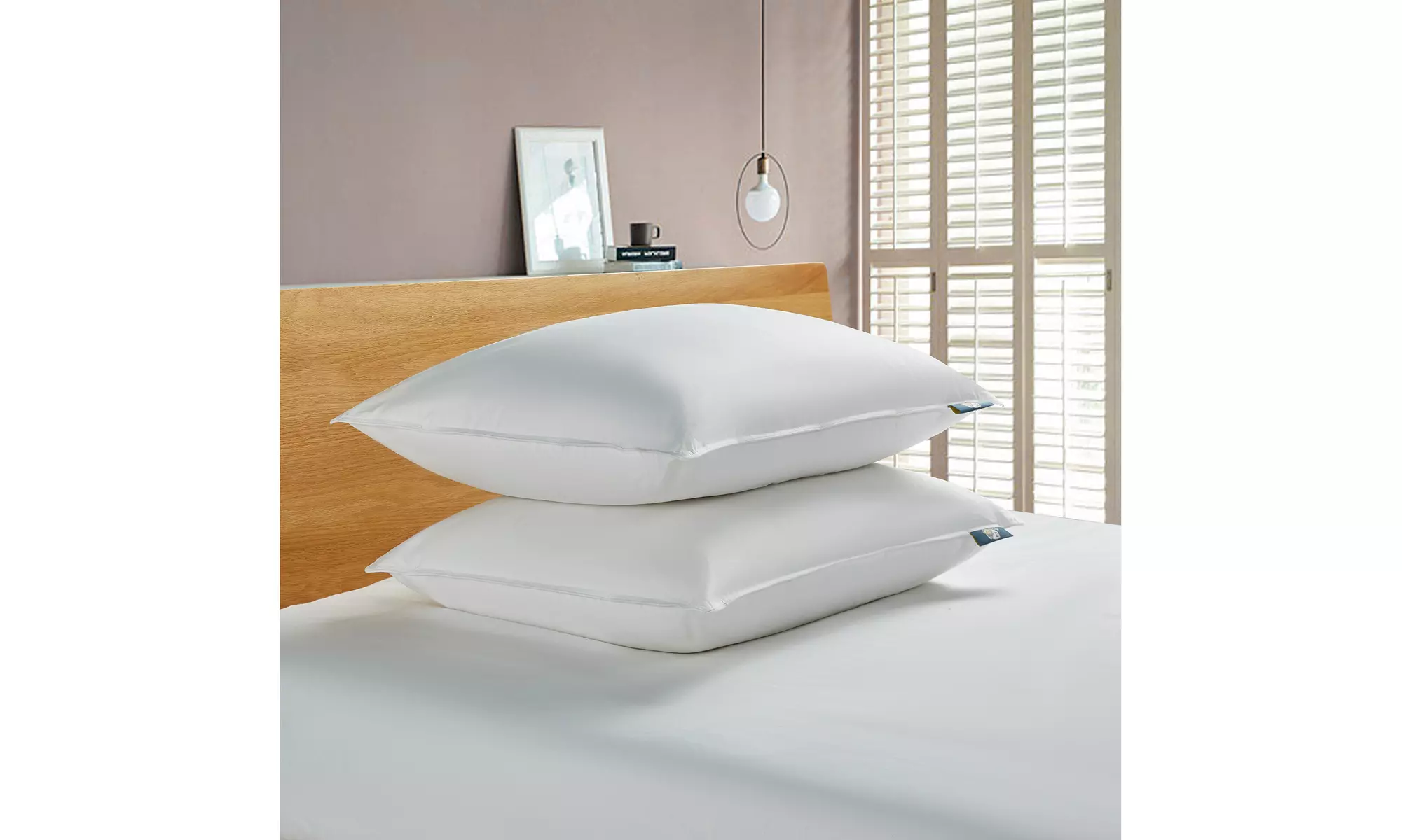 Serta Back-Sleeper White Goose Feather & Down Fiber Pillows (2-Pack)