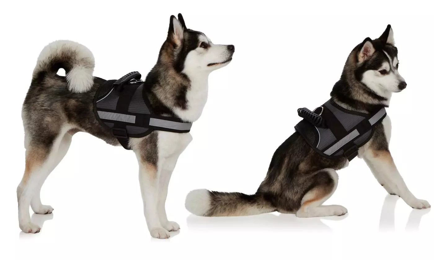 Ez-Pet Adjustable No-Pull Harness Vest - Primary Image