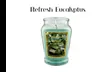 12oz Long-Lasting Scented Candle-Six Refreshing Fragrances in Elegant Glass Jar - Second Medium