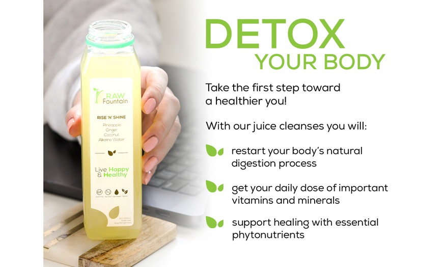 Image 7: Raw Fountain Green Juice Cleanse Detox – 1, 3, 5 or 7 Day