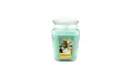 Scented Jar Soy Candles 18.0 Oz. - Second Medium