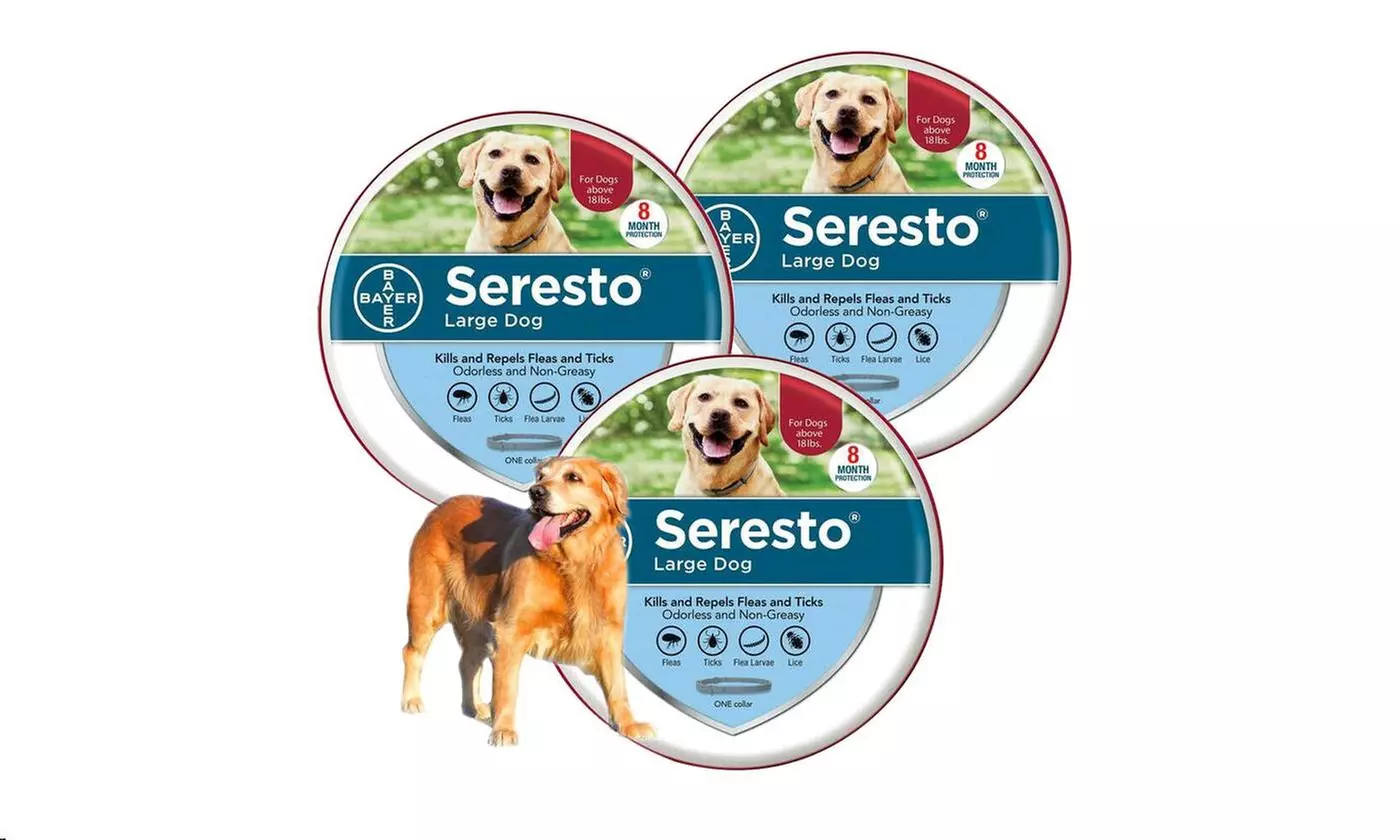 Bayer Seresto Flea and Tick Collar for Large Dog,8-month prevention,1/2/3 pack - Primary Image