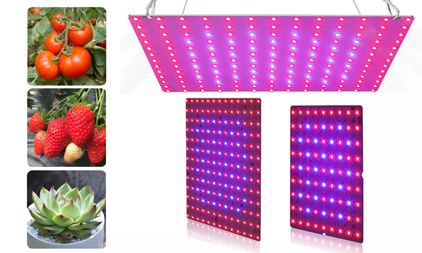 Full Spectrum Plant LED UV Grow Light Veg Lamp For Indoor Hydroponic Plant - Primary Image
