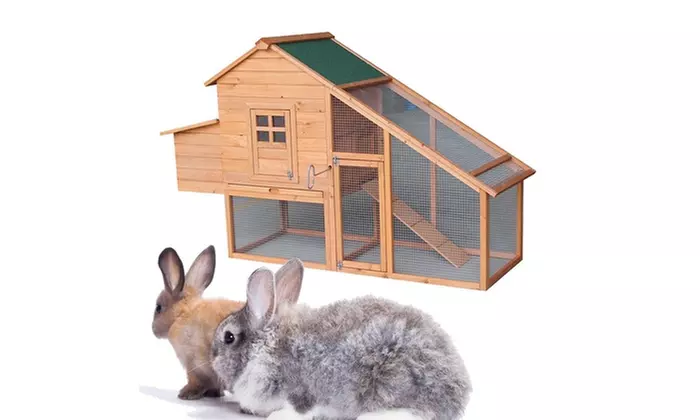 75" Waterproof Two-tier Wooden Chicken Coop Rabbit Cages-Egg Case & Running Cage - Primary Image