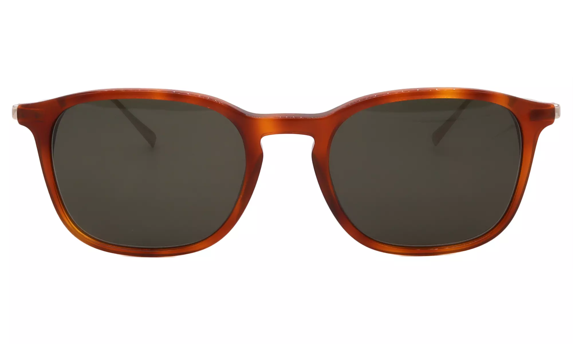 Salvatore Ferragamo Sunglass Collection