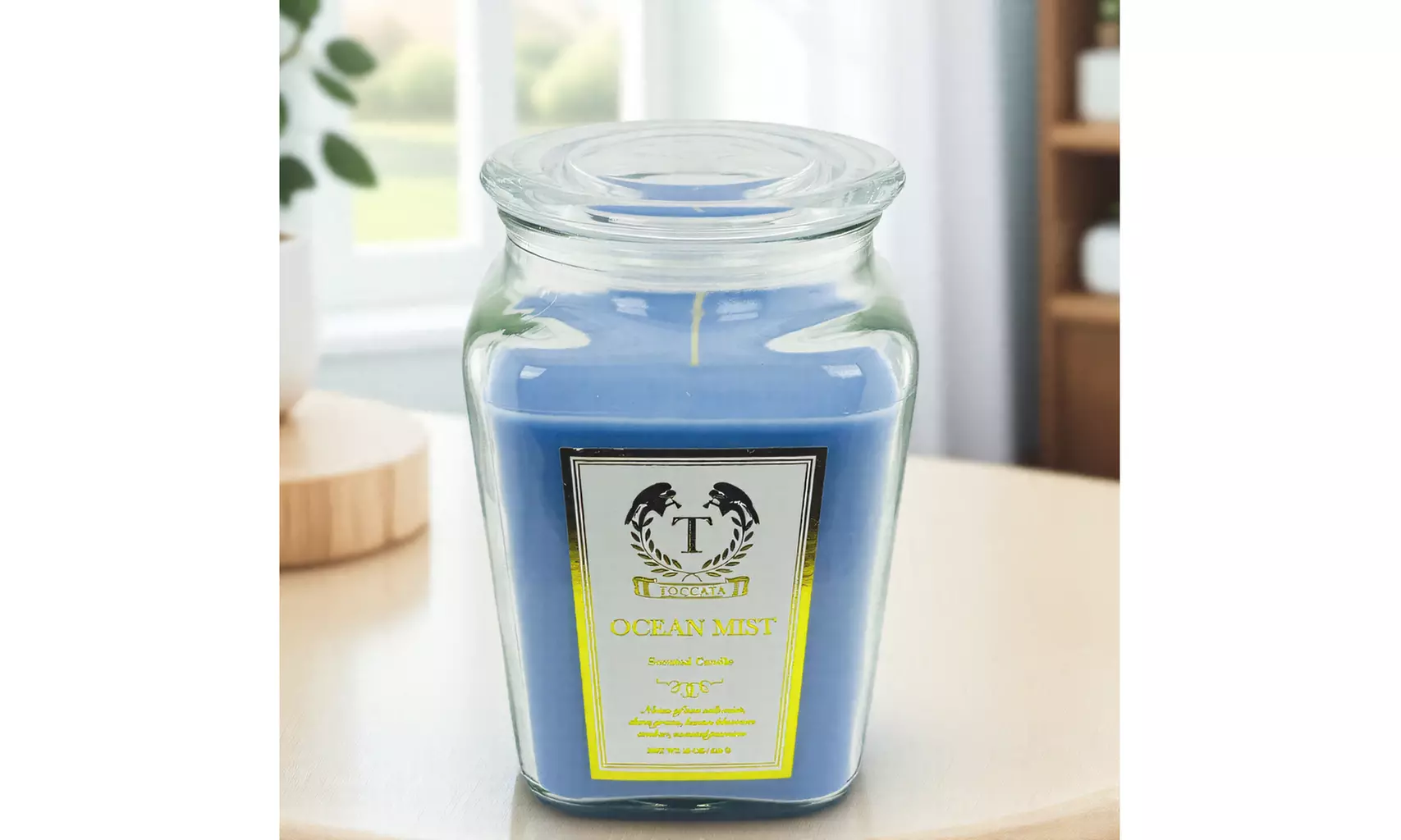 Relaxing Scented Candles, Perfect for Bath, Meditation & Cozy Nights 6-Pack 18oz