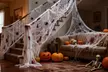 ItBelongs2U White Halloween Spiderwebs Decor with Optional Spider - Second Medium