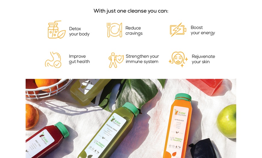 Image 4: Raw Fountain Green Juice Cleanse Detox – 1, 3, 5 or 7 Day
