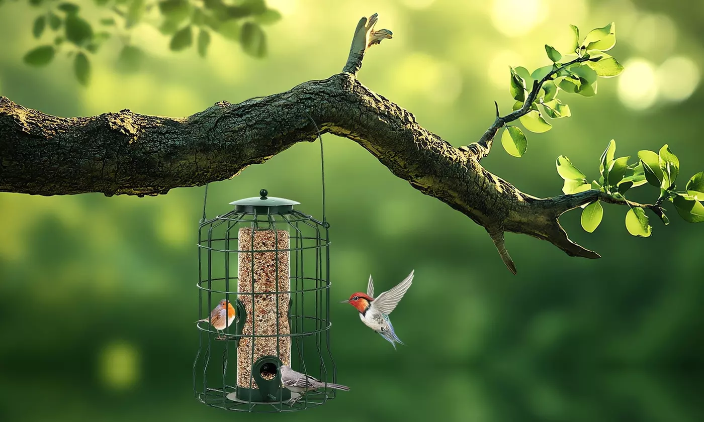 iMounTEK Hanging Wild Bird Feeders - Squirrel-Proof & 3-Tier Options