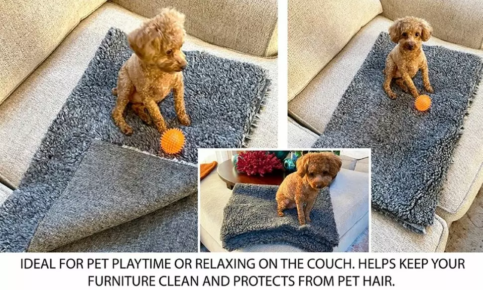 Scoochie Poochie Dog Bed & Crate Pad