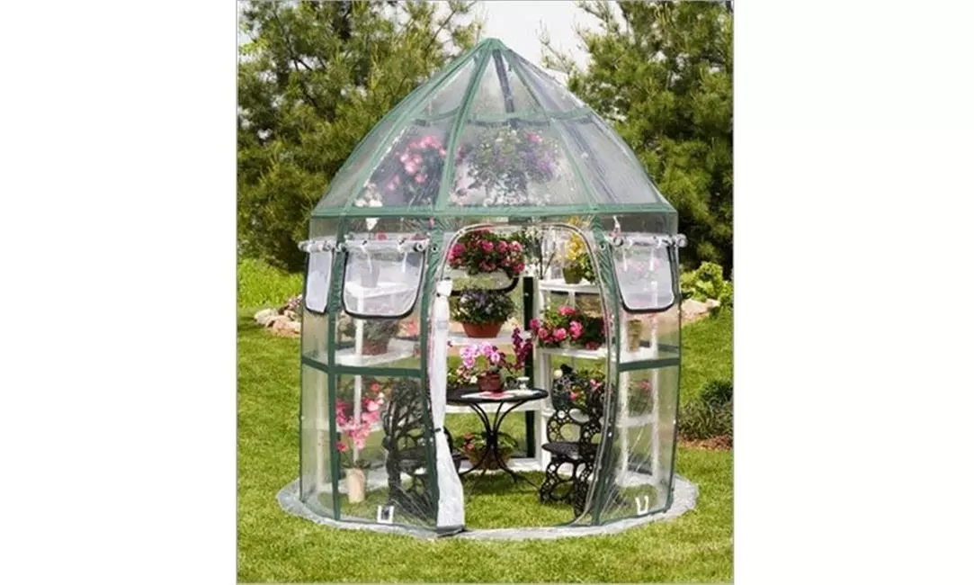 Flower House FHCV900 Conservatory Pop-Up Greenhouse - Primary Image